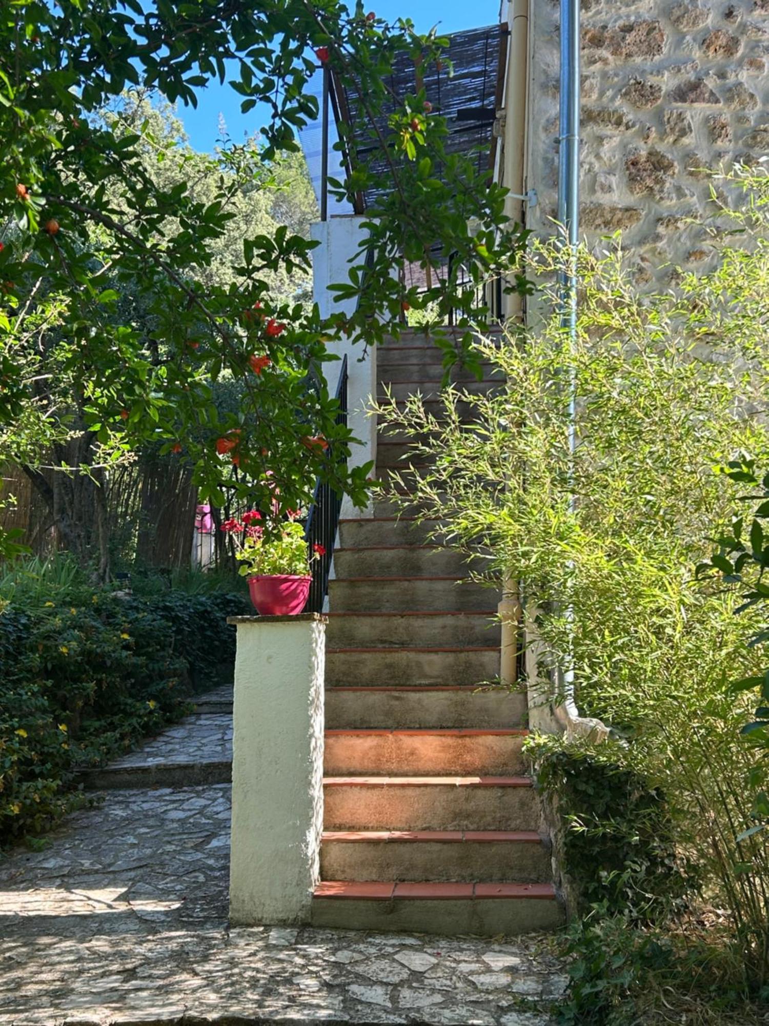 Apartmán Bastide Des Hesperides Flayosc Exteriér fotografie